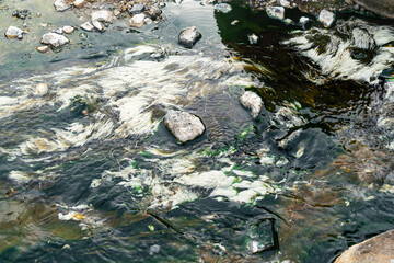 High angle view of white algae plant or scientific name is Chloroflexus aurantiacus fluttering in the stream of hot spring water. This picture was taken at hot spring water in Chae Son National Park.