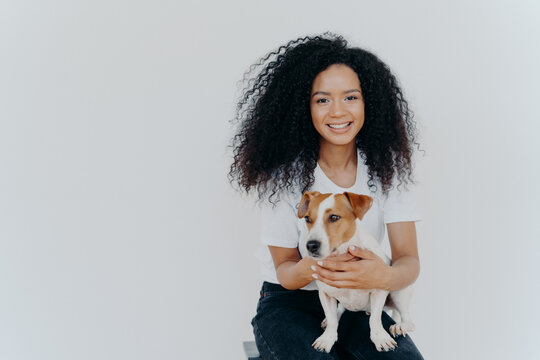 Humans and animals concept. Cheerful good looking woman with crisp hair, smiles pleasantly, plays with pedigree dog, sits on comfortable chair, makes memorable shot, pose against white background