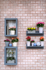Fototapeta na wymiar Beautiful flowers shelf on brick wall background