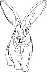 Rabbit vector illustration in line art 