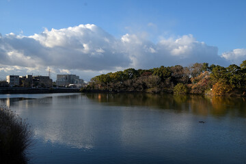 Fototapeta na wymiar 背景の地平付近に大きな雲が浮かんでいる池の風景