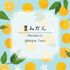 みかん、柚子のフレームイラスト素材