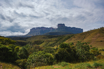 Fototapeta na wymiar Scenic view of the Gran Sabana with Auyan Tepui in the background, Venezuela