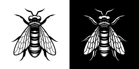 Vector illustration of a bee, this design can be used as a logo or for a honey label