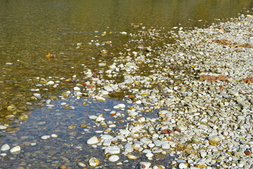 River bank with stones that are partly wet and partly dry