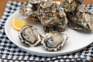 Oyster with lemon