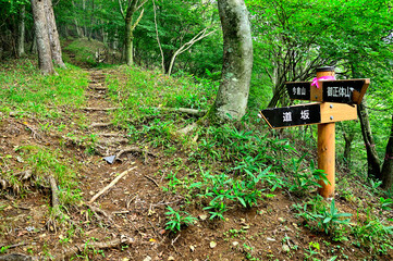 道志山塊の今倉山　夏の道坂峠
道坂峠は山梨県の東部、今倉山の南に位置する峠。都留市と道志村との行政界にあり、今倉山と御正体山を結ぶ縦走路中にある。道坂峠の真下は山梨県道24号都留道志線の道坂トンネルが通っている。
