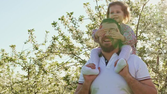 Dad plays and rolls on the shoulders his little daughter in a spring garden.