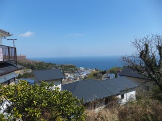 伊豆半島　丘の上の家から観る春の海