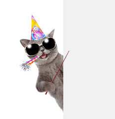 Happy cat wearing sunglasses  blows in party horn and points on empty white banner. isolated on white background