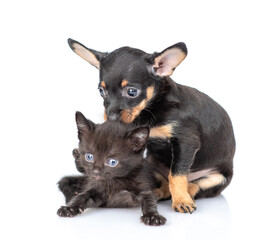 Cute Toy terrier puppy embraces and licks tiny black kitten. isolated on white background