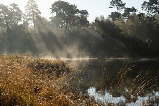 mist on the lake