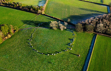 Long Meg and Her Daughters. Prehistoric Neolithic stone circle. Langwathby, Cumbria, UK. Aerial of...
