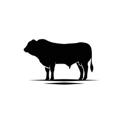 cattle angus cow buffalo bison livestock silhouette - obrazy, fototapety, plakaty