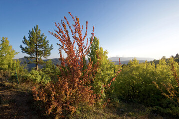 Fototapeta premium Griechenland - Zagoria - allgemein