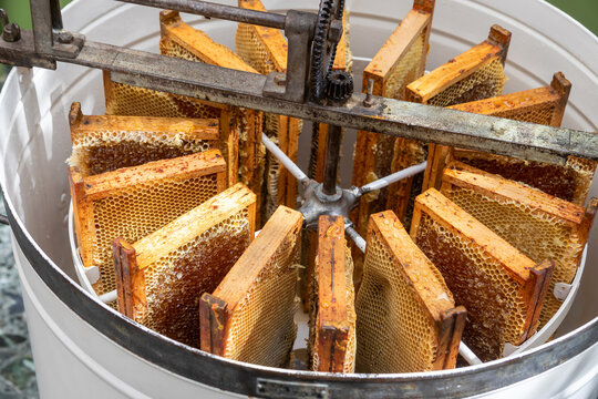 Apiculture - A la miellerie - Cadres remplis de miel rang&eacute;s dans un extracteur &agrave; manivelle