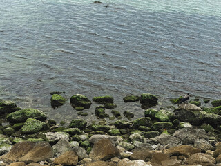 Natural background with water and mossy stones. 