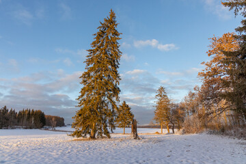 stimmungsvolle Landschsaftsaufnahme Harzlandschaft
