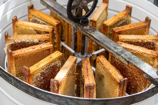 Apiculture - A la miellerie - Cadres remplis de miel rang&eacute;s dans un extracteur &agrave; manivelle