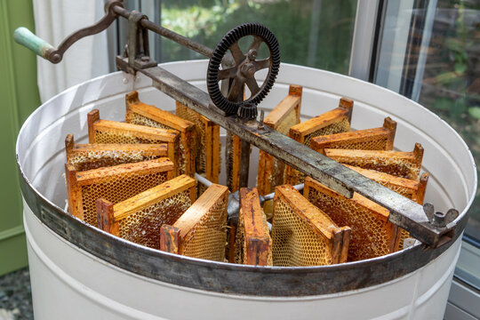 Apiculture - A la miellerie - Cadres remplis de miel rang&eacute;s dans un extracteur &agrave; manivelle