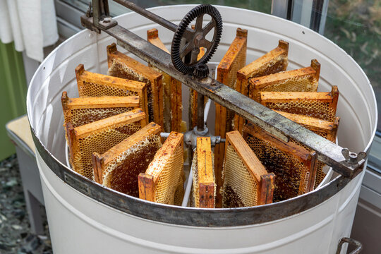 Apiculture - A la miellerie - Cadres remplis de miel rang&eacute;s dans un extracteur &agrave; manivelle