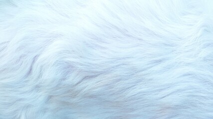 Fluffy white fur texture background, fluffy, elegant, close-up shot using abstract fur backdrop design.