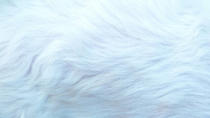 Fluffy white fur texture background, fluffy, elegant, close-up shot using abstract fur backdrop design.