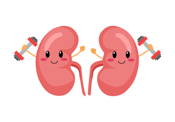 Cute kidney with dumbbells cartoon character in flat design on white background. Healthy kidney concept vector illustration.