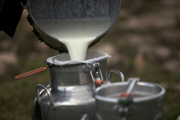 A shepherd collects milk in Villaluenga del Rosario, in the Sierra de Grazalema National Park, Cadiz province, Andalusia, Spain