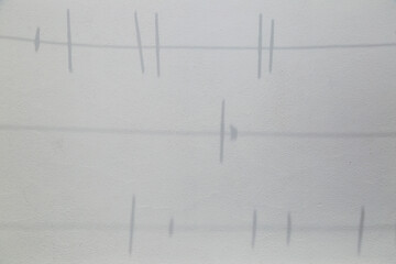 clothesline shade and clothespins