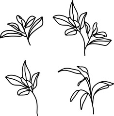 set of black and white flowers. Set of vector tree branches and leaves. Hand drawn floral elements. Black lines branch and leaves