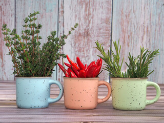 Fresh thyme, rosemary and red chili bunches in small ceramic mugs.