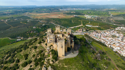Fototapeta na wymiar visión aérea del castillo del Almodóvar del río en la provincia de Córdoba, España