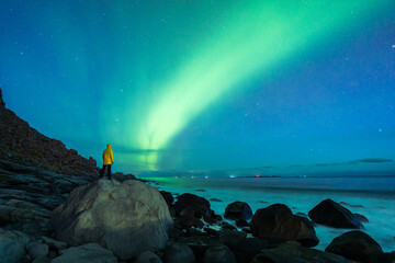 Aurora Borealis (Northern Lights) above a person in yellow jacket at Uttakleiv Beach, Lofoten,...