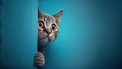 Tuinposter Frightened cat peeks out from behind a corner on a blue background, with copy space, created with Generative AI technology. © koldunova