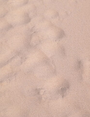 Beach sand as nature background.