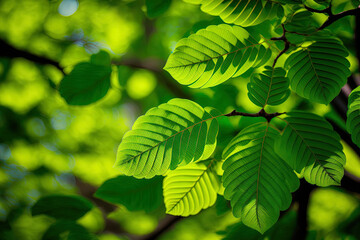 Fototapeta na wymiar Springtime brings lush green foliage. Generative AI
