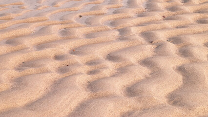 Sea shore as nature background.