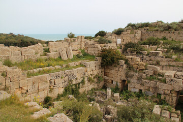 Fototapeta na wymiar ruined greco-roman acropolis in selinunte in sicily (italy) 