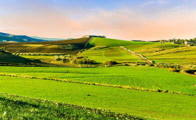 Scenic view at beautiful spring sunset in a green shiny field with green grass and golden sun rays, deep blue cloudy sky on a background , forest and country road, summer valley landscape