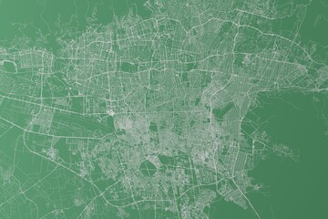 Stylized map of the streets of Tehran (Iran) made with white lines on green background. Top view. 3d render, illustration