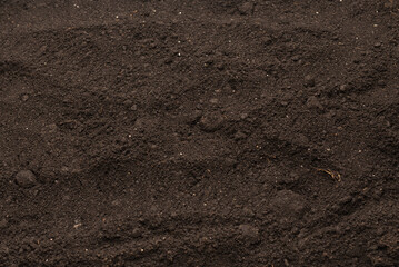 Black land for plant background. Top view.