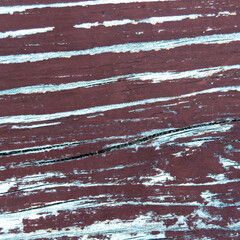 wood texture. uncoated wooden horizontal board with knots. Square image.