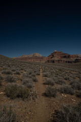 Long Straight Section of the Tonto Trail In Grand Canyon
