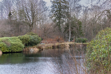 Fototapeta na wymiar View over a small pond