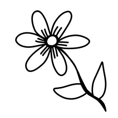 Vector outline daisies in doodle style.