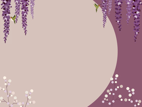 Hummingbirds and purple wisteria flowers