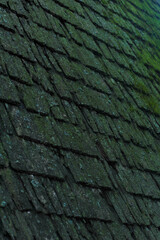 Old wooden roof with green moss in nature.