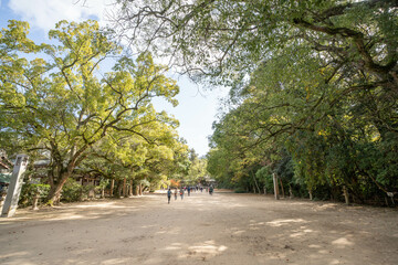 Fototapeta premium 大山祇神社