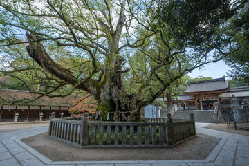 大山祇神社